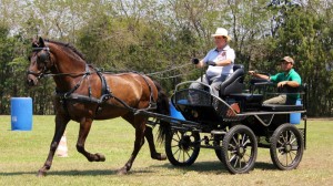 Agencia Boa Imprensa