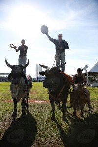 FIM DE UMA TRADIÇÃO? Vaqueiros protestam em Brasília