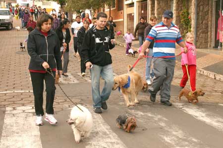 IGUALITARISMO HUMANO-CANINO