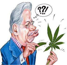 Maconha — comprovados prejuízos