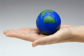 OS ECOLOGISTAS NÃO DEIXAM