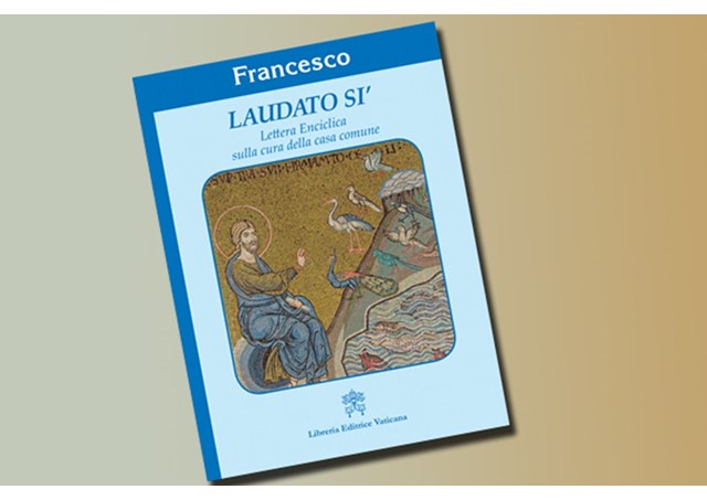 Declaração de “Voice of the Family” sobre a encíclica “Laudato Si”