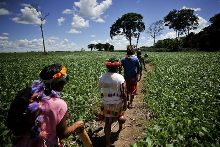 Quadrilha usou índios para fraudar aposentadorias