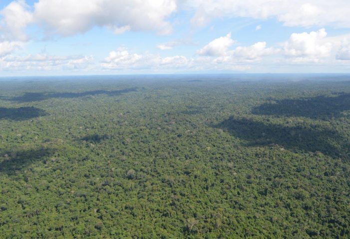 CPI investiga terra indígena em Roraima