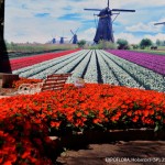 Expoflora 2016