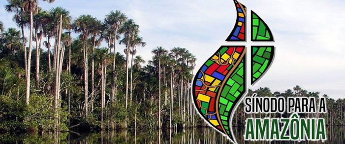 Sínodo da Amazônia ou Concílio Vaticano III?