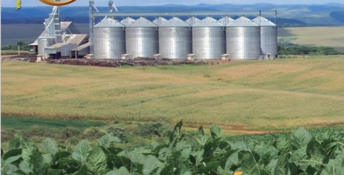 O agronegócio prospera, apesar do trauma pandêmico e dos ecologistas