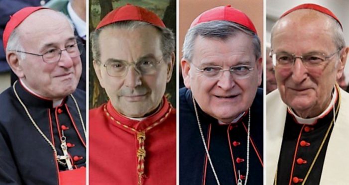 Obrigado pela resposta ao “dubium”! Mas quando responderá aos “dúbia”, Santo Padre?
