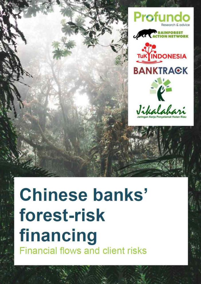 Partido Comunista chinês é financiador do desmatamento no mundo