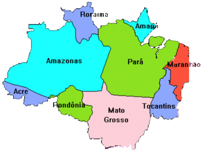AMAZÔNIA NO CENTRO