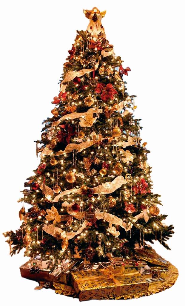 Árvore de Natal tem sua origem no paganismo? É símbolo religioso? – Agência  Boa Imprensa – ABIM