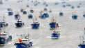 China depreda pesca mundial