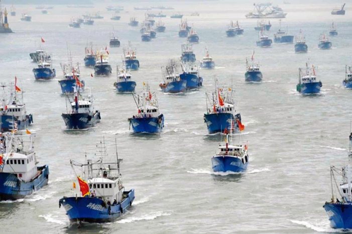 China depreda pesca mundial