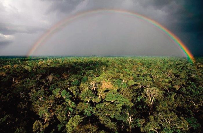 A Amazônia não está se desertificando