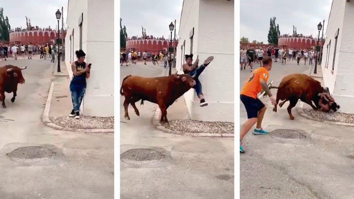 Ativista pelos “direitos dos animais” atingida por touro