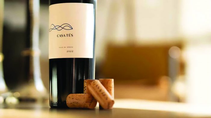 Primeiro vinho brasileiro a entrar na lista dos 100 melhores do mundo