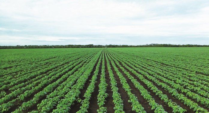 Produto do agronegócio superou o da indústria