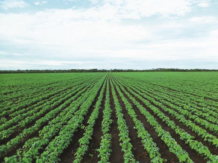 Produto do agronegócio superou o da indústria