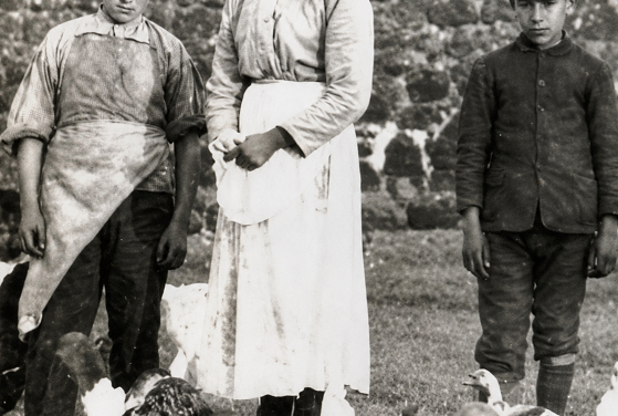 Santa Maria Goretti — Sagacidade e força